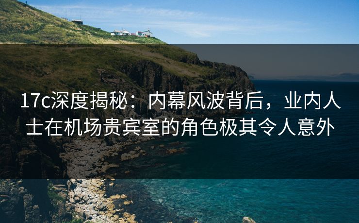 17c深度揭秘：内幕风波背后，业内人士在机场贵宾室的角色极其令人意外